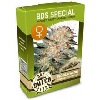 Bds Special Feminizadas Pide Semillas De Cannabis Online